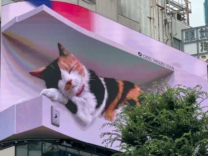 Vaya publicitaria que muestra a un gatoVaya publicitaria que muestra a un gato hiperrealista en 3D hiperrealista en 3D