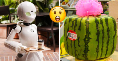 15 Datos increíbles sobre Japón que demuestran lo fantástico que sería vivir allí