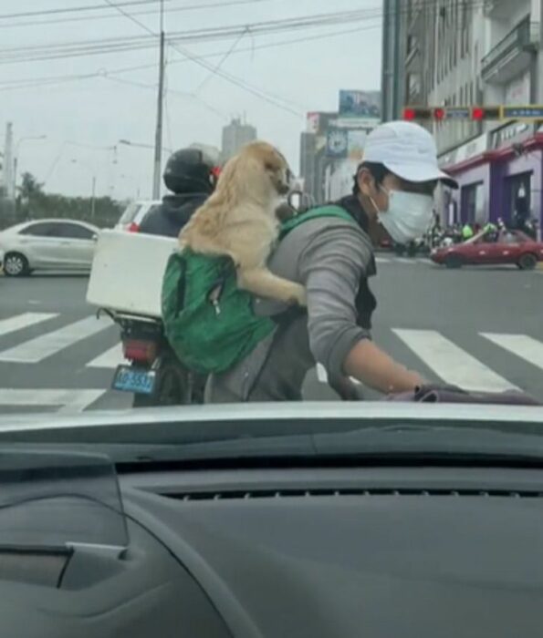 Joven trabaja en la calle limpiando vidrios con su cachorro en la espalda