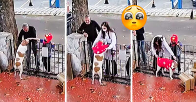 ¡Justicia perruna! Familia le regala suéter a perrito al que le robaron su playera días antes