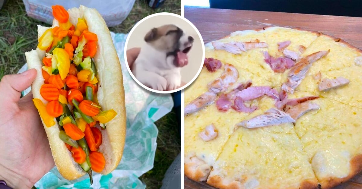 15 food dishes so ‘exotic’ that few would dare to eat them