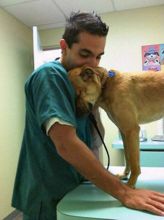 Pero junto a veterinario ;20 Mascotas que se mostraron amorosamente agradecidos con sus veterinarios