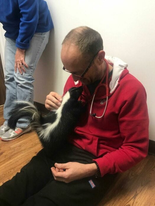 Veterinario con un zorrillo ;20 Mascotas que se mostraron amorosamente agradecidos con sus veterinarios