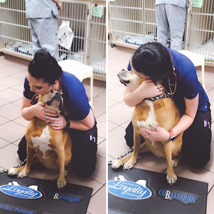 Veterinaria abrazando a perro ;20 Mascotas que se mostraron amorosamente agradecidos con sus veterinarios