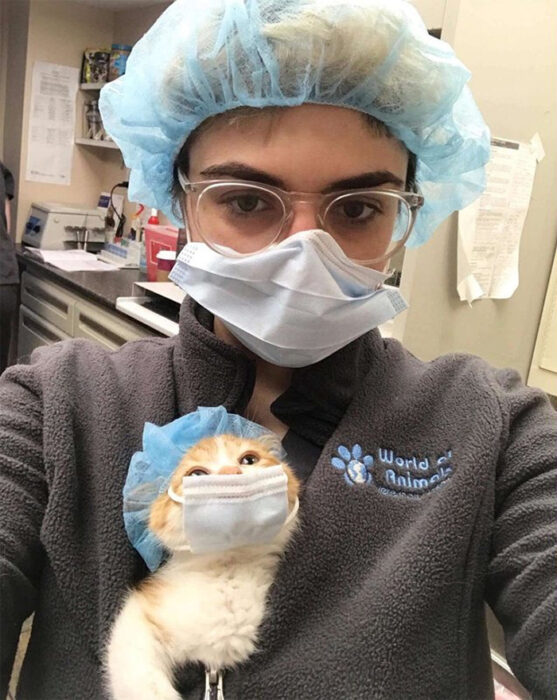 Gato con cubrebocas ;20 Mascotas que se mostraron amorosamente agradecidos con sus veterinarios