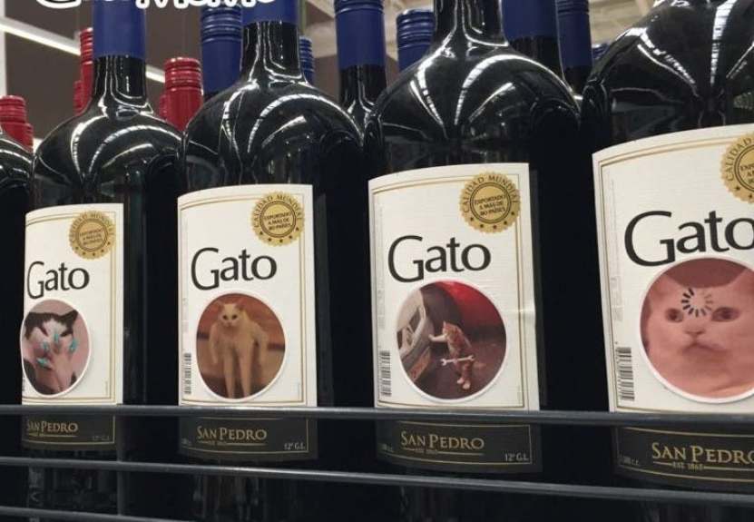 botellas de vino; Cambia el logo de vino por memes de gatos, se hace viral y lo contratan
