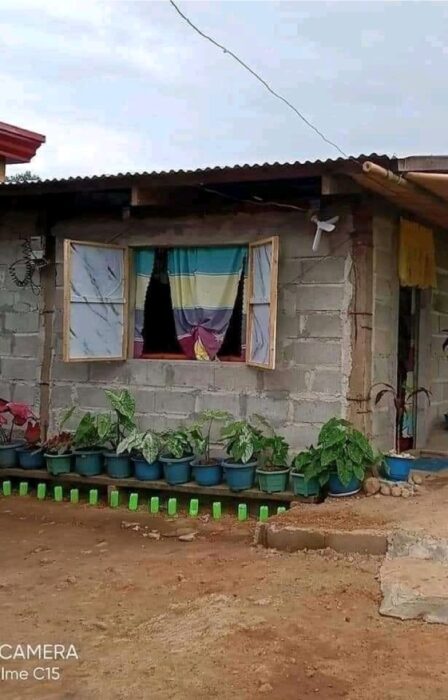 Fachada de una casa decorada con plantas 