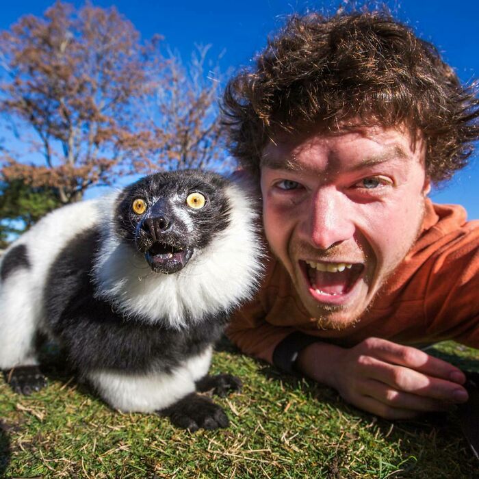 Junto a un lémur ;Allan Dixon; hombre se hace amigo de cualquier animal que encuentra en su camino