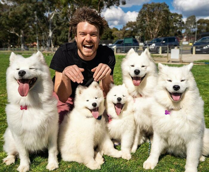 Manada de perros ;Allan Dixon; hombre se hace amigo de cualquier animal que encuentra en su camino