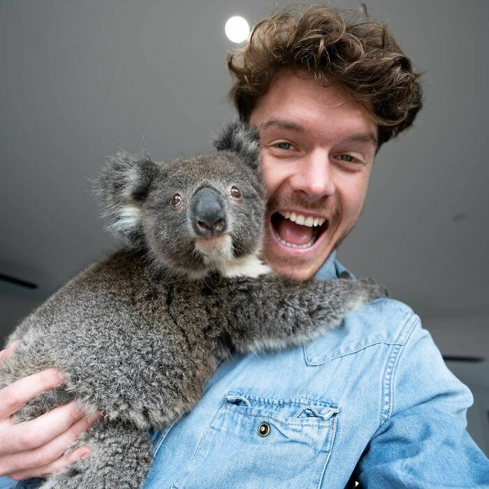 Koala ;Allan Dixon; hombre se hace amigo de cualquier animal que encuentra en su camino