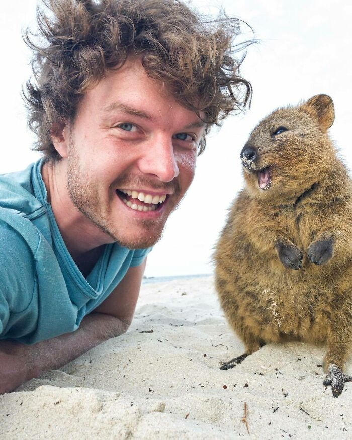 Animal sonriendo ;Allan Dixon; hombre se hace amigo de cualquier animal que encuentra en su camino