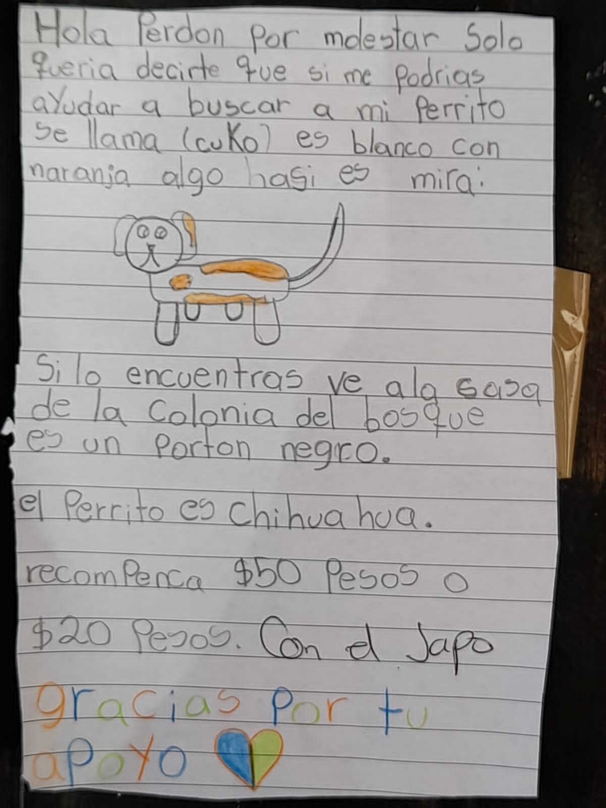 Carta niña buscando perro; Niña que buscaba a su perrito con un dibujo hecho a mano logra encontrarlo