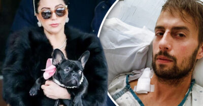 Ryan Fischer, el hombre que salvó a los perritos de Lady Gaga, está en la ruina y pide ayuda