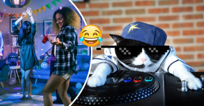 Vecinos se quejan de una fiesta en la madrugada; era el gato Dj del vecino
