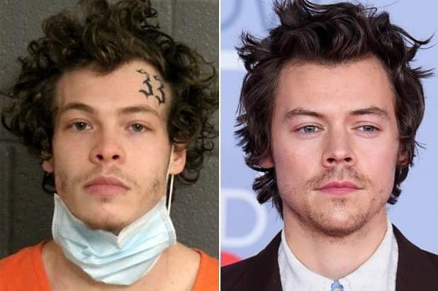 Diferencias entre un chico y Harry Styles 