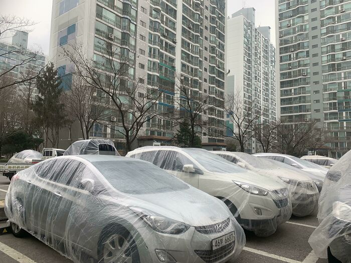 carros cubiertos; Corea es de otro mundo y estas fotos lo prueban