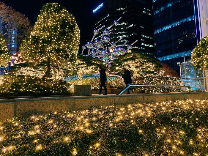 paseo bajo las luces; Corea es de otro mundo y estas fotos lo prueban