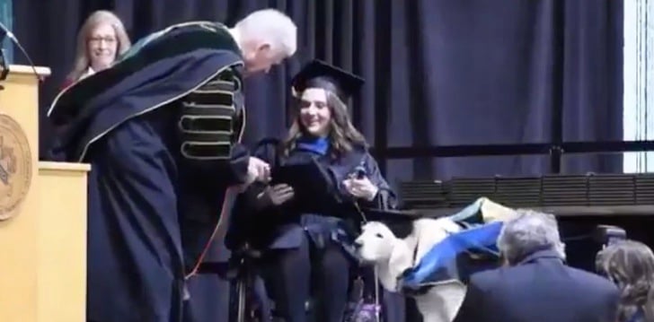 chica recibiendo su título; Dedicado perro lazarillo fue premiado en graduación de su dueña con discapacidad