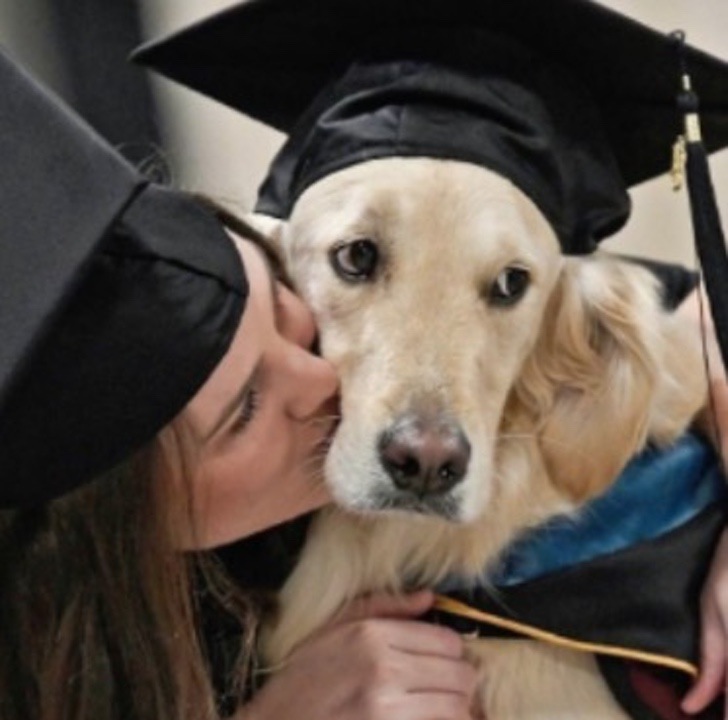 Chica besando a su perro en la mejilla; Dedicado perro lazarillo fue premiado en graduación de su dueña con discapacidad