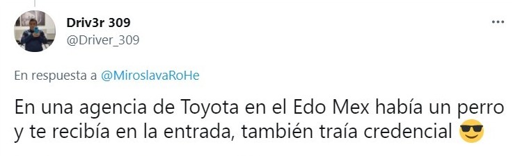 Tuit sobre Empresa mexicana 'contrata' gatito como lo vigilante; ¡hasta le dieron su gafete!