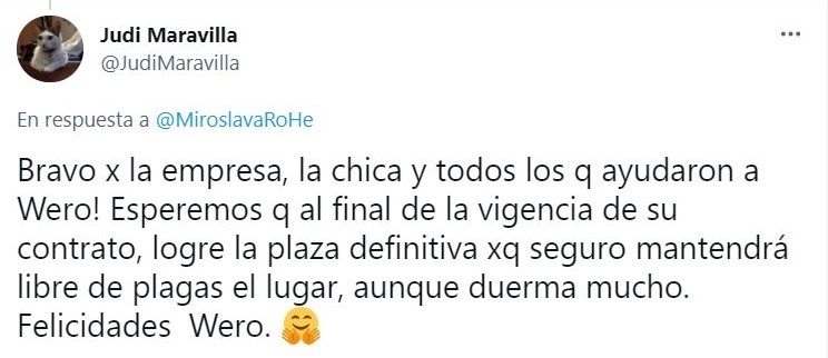 Tuit sobre Empresa mexicana 'contrata' gatito como lo vigilante; ¡hasta le dieron su gafete!