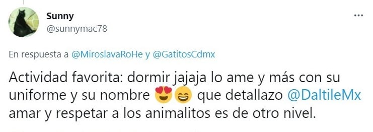 Tuit sobre Empresa mexicana 'contrata' gatito como lo vigilante; ¡hasta le dieron su gafete!