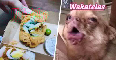 Pidió un pollo frito y en lugar de eso le enviaron una sucia toalla de manos capeada