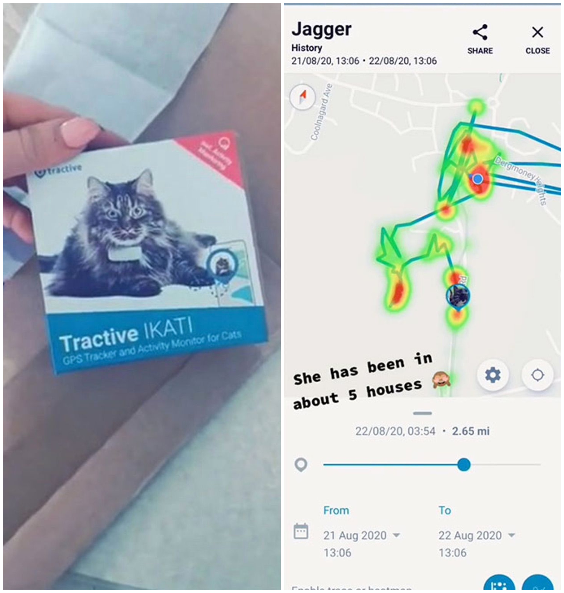 Mapa de GPS; Le pone GPS a su gatita y se da cuenta que visita 5 familias diferentes al día