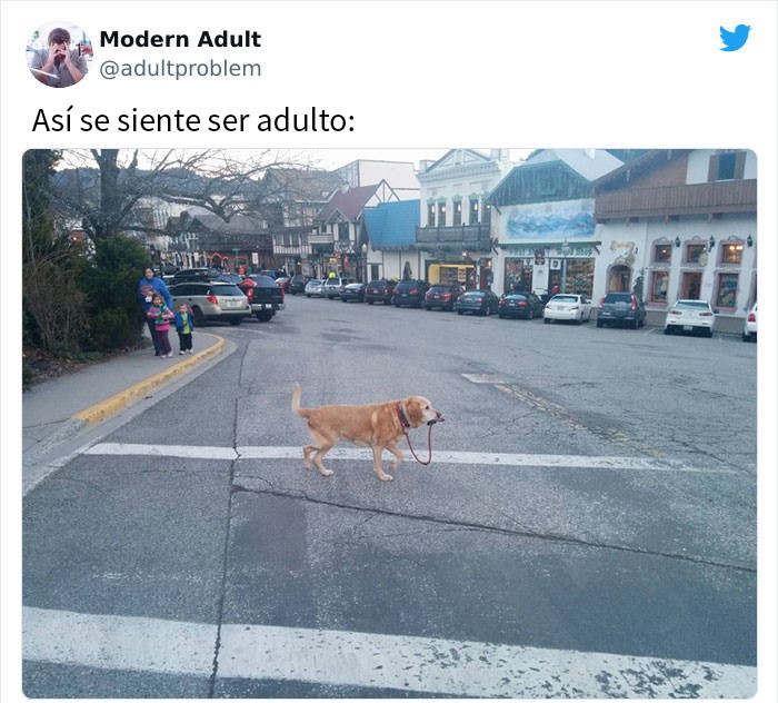 perro cruzando la calle ;15 Memes sobre la vida adulta con los que sí te identificarás