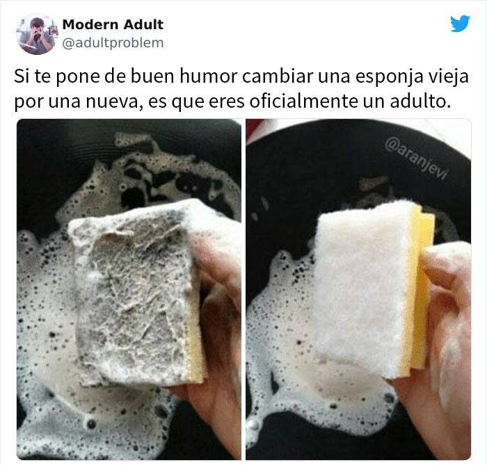 Esponja para lavar trastes ;15 Memes sobre la vida adulta con los que sí te identificarás