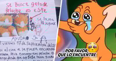 “Lo extraño mucho”: niña hace un cartel para encontrar a su peluche extraviado y se vuelve viral