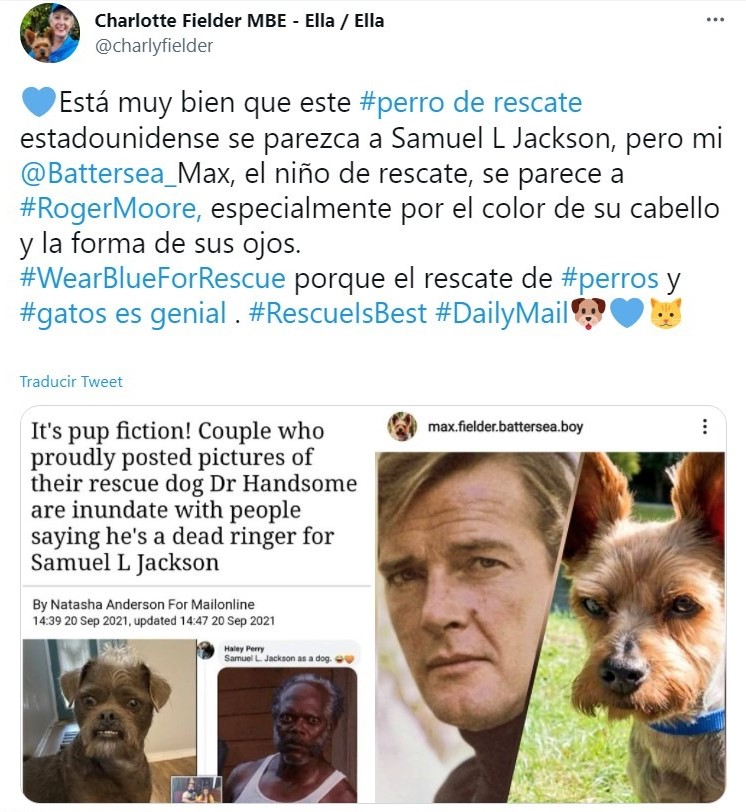 Tweet They share photos of their rescued dog and the internet compares him to Samuel L. Jackson