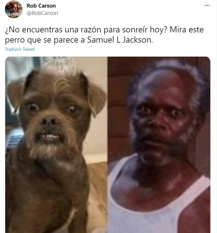 Tweet They share photos of their rescued dog and the internet compares him to Samuel L. Jackson