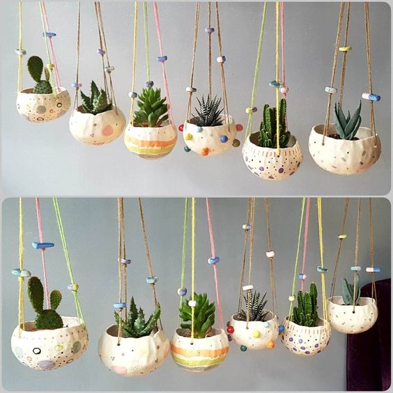 Suculentas chiquitas para decorar un espacio 