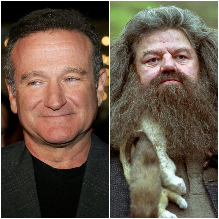 Robin Williams como Rubeus Hagrid