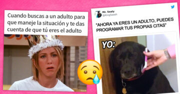 15 Divertidos memes sobre ser adulto que te harán reír y llorar al mismo tiempo