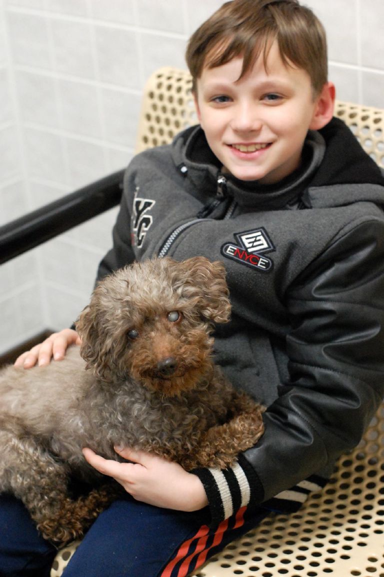 Niño cargando a un perro; niño visita refugio y adopta al perrito más viejo 