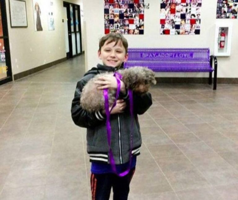 Niño cargando a un perro; niño visita refugio y adopta al perrito más viejo 