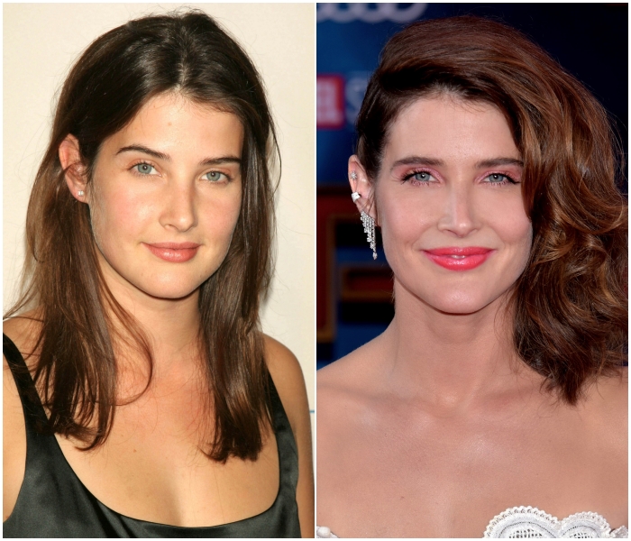 Cobie Smulders como Robin Scherbatsky