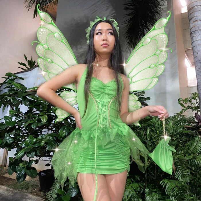 fairy costume ideas