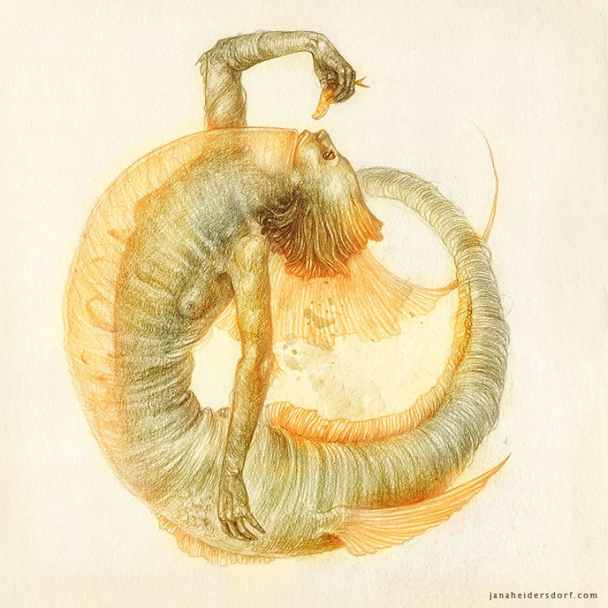 sirena camarón ilustración por Jana Heidersdorf ;19 Ilustraciones de sirenas que te provocarán pesadillas