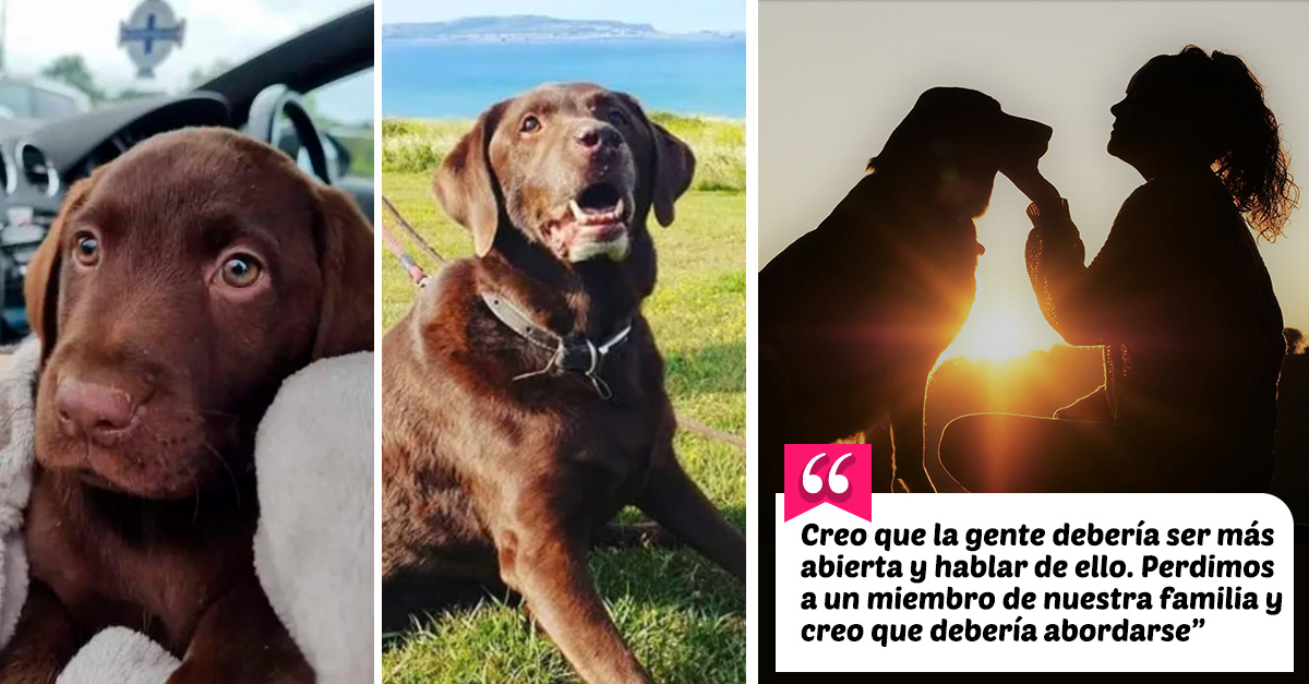 She was fired from her job for missing a few days to mourn her dog