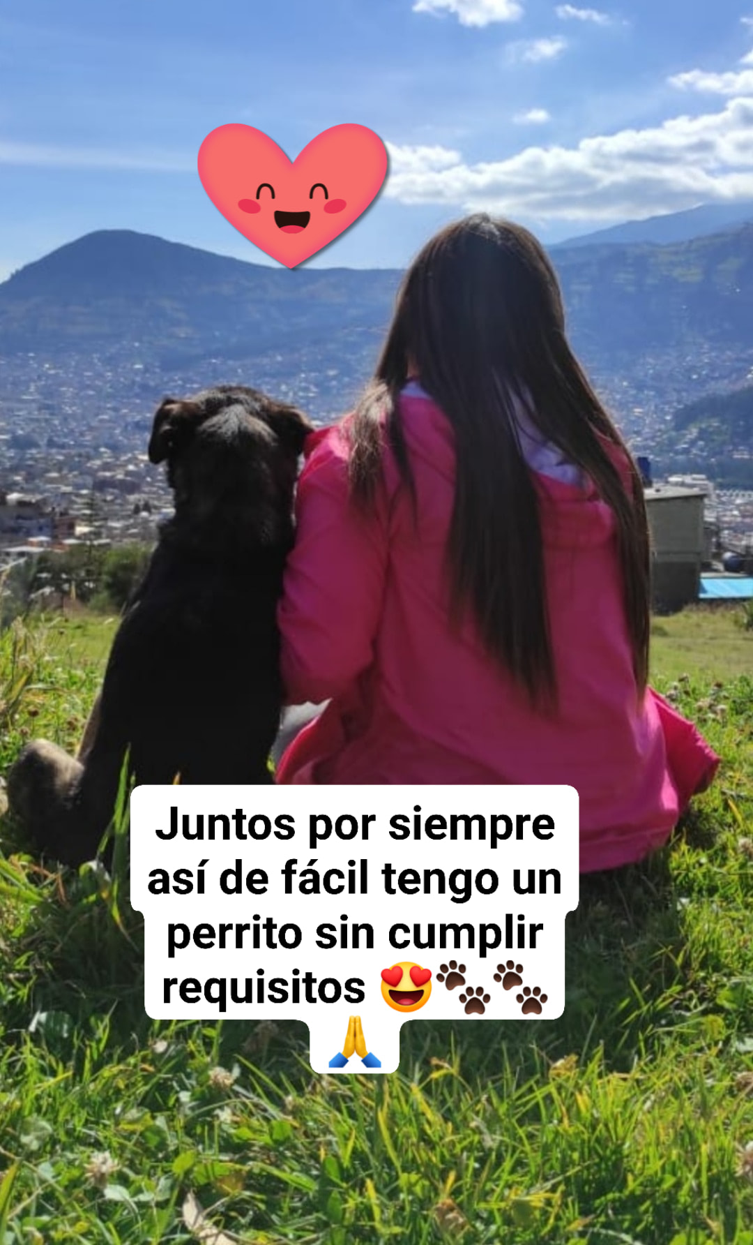 Hilo de Le niegan adopción de perro por no tener casa propia y adopta uno de la calle