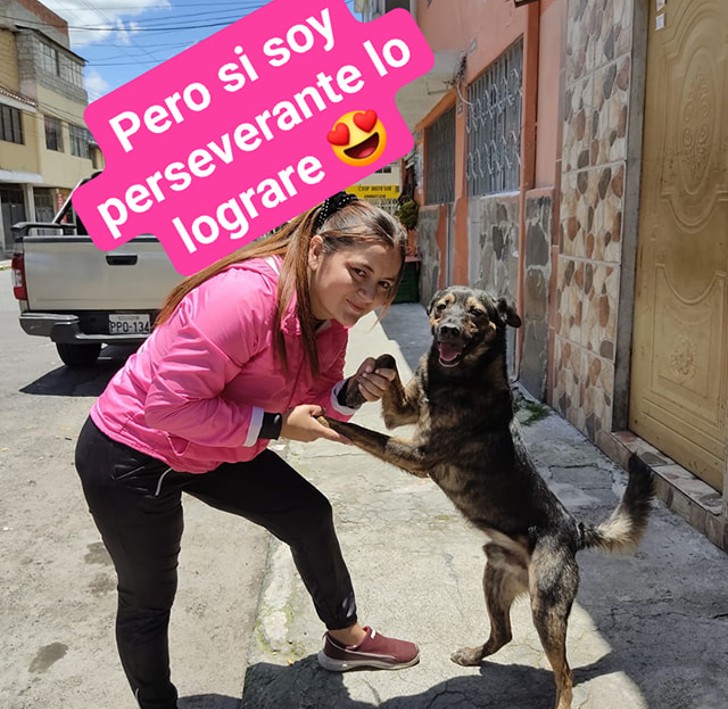 Hilo de Le niegan adopción de perro por no tener casa propia y adopta uno de la calle