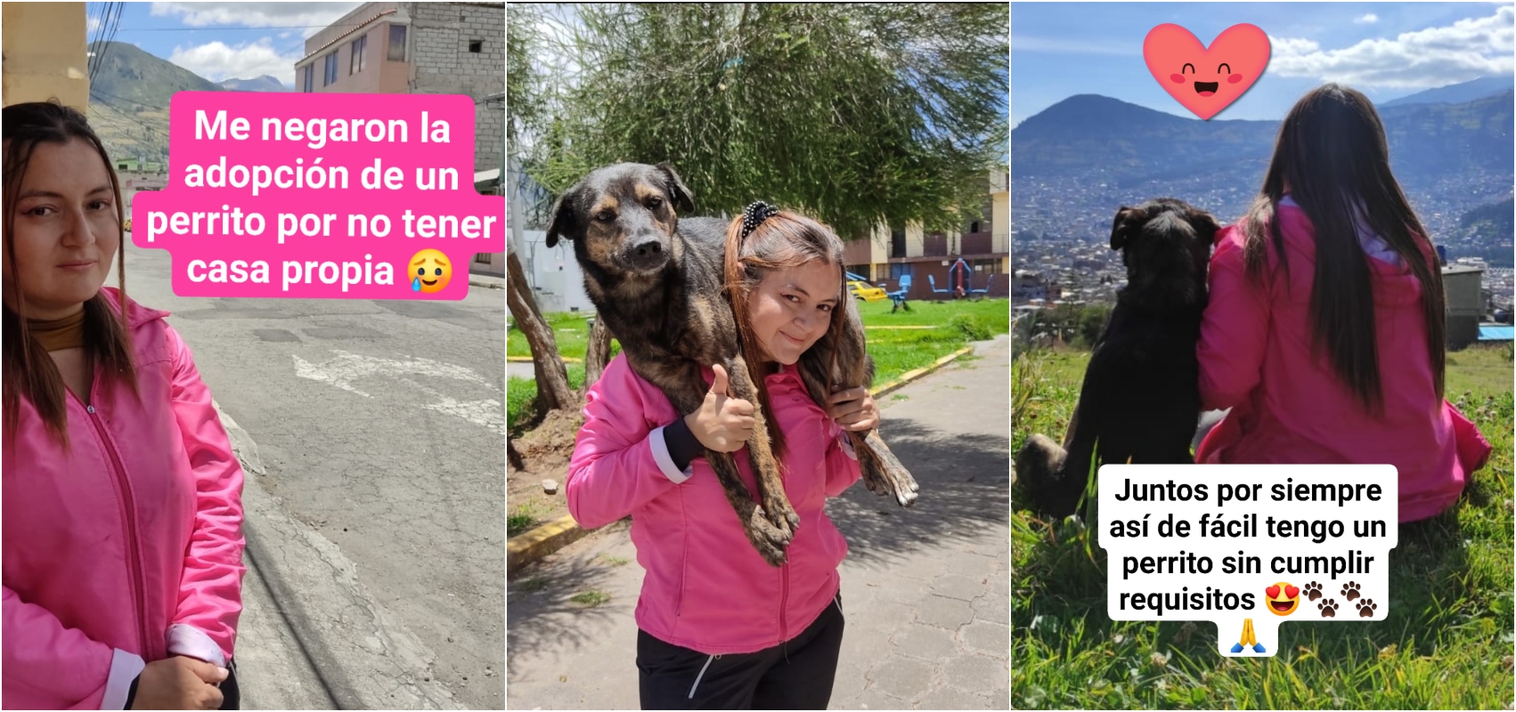 Le niegan adopción de perro por no tener casa propia y adopta uno de la calle