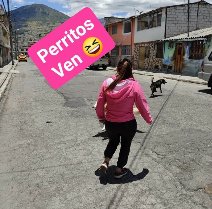 Hilo de Le niegan adopción de perro por no tener casa propia y adopta uno de la calle