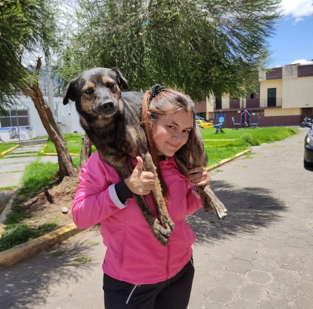 Hilo de Le niegan adopción de perro por no tener casa propia y adopta uno de la calle