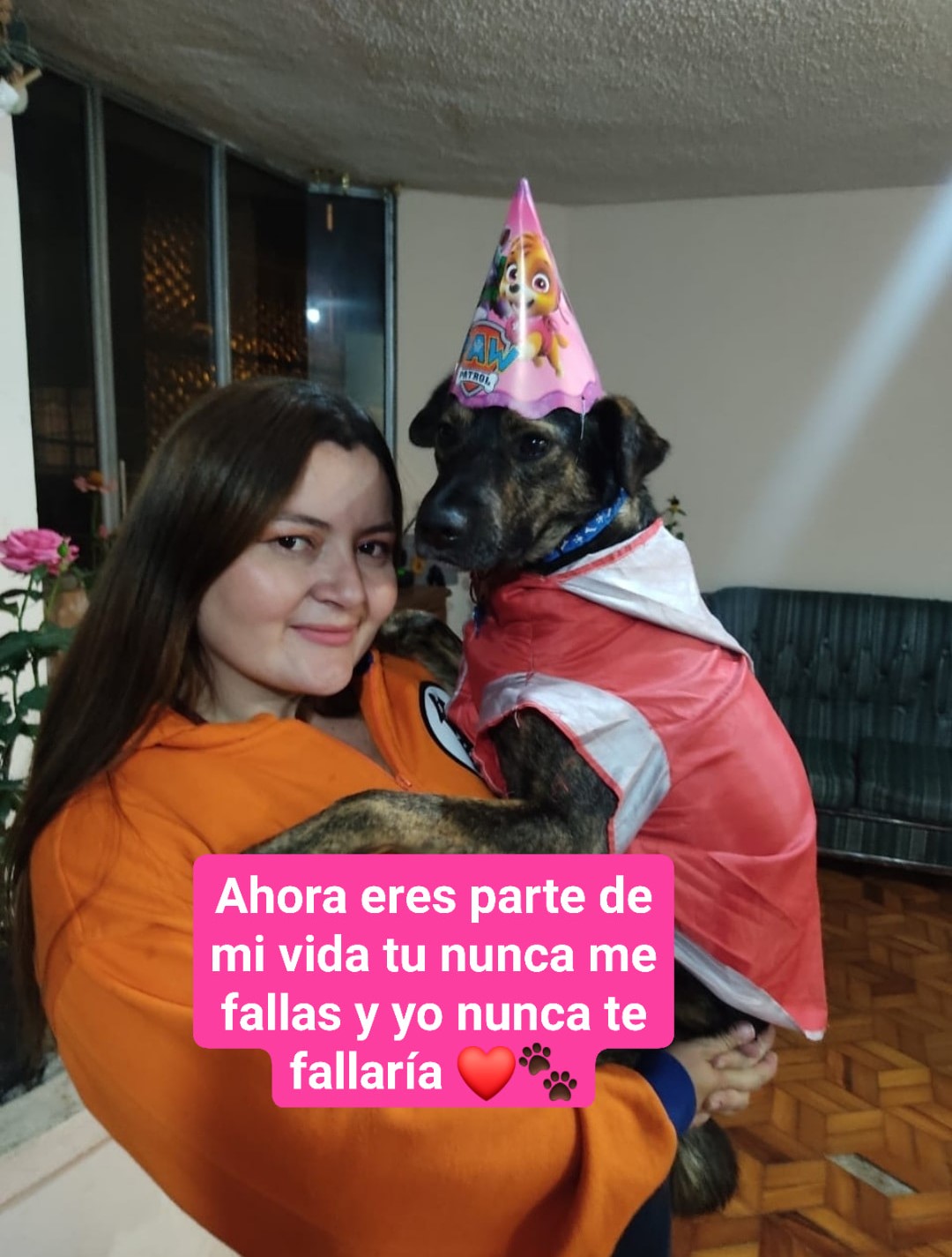 Hilo de Le niegan adopción de perro por no tener casa propia y adopta uno de la calle