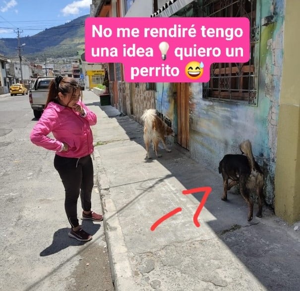 Hilo de Le niegan adopción de perro por no tener casa propia y adopta uno de la calle
