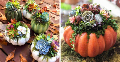 13 Lindas ideas para convertir tus calabazas en macetas para tus suculentas